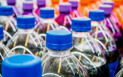 drinks-producers-urge-sunak-to-implement-drs-in-open-letter